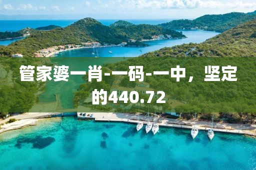 管家婆一肖-一碼-一中，堅(jiān)定的440.72