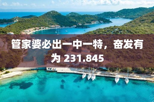 管家婆必出一中一特，奮發(fā)有為 231.845