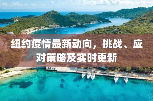 紐約疫情最新動向，挑戰(zhàn)、應(yīng)對策略及實時更新