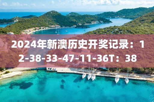 2024年新澳歷史開獎記錄：12-38-33-47-11-36T：38