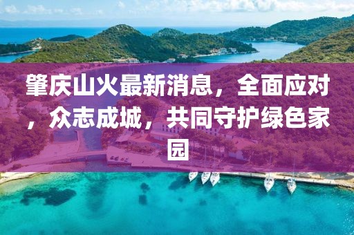 肇慶山火最新消息，全面應(yīng)對(duì)，眾志成城，共同守護(hù)綠色家園