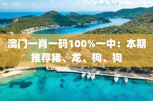 澳門一肖一碼100%一中：本期推薦豬、龍、狗、狗