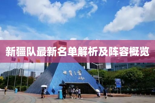 新疆隊(duì)最新名單解析及陣容概覽