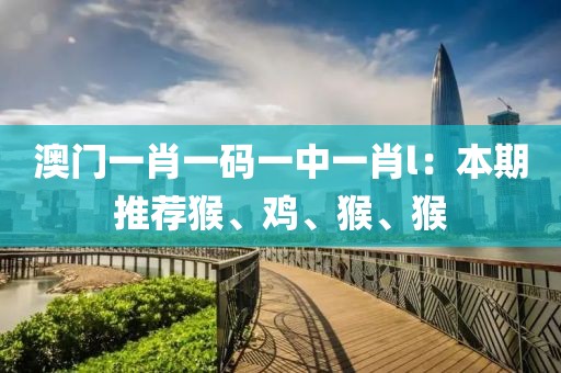 澳門(mén)一肖一碼一中一肖l：本期推薦猴、雞、猴、猴