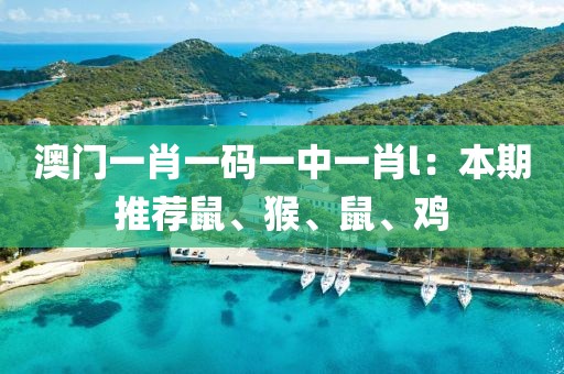 澳門一肖一碼一中一肖l：本期推薦鼠、猴、鼠、雞