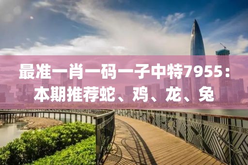 最準(zhǔn)一肖一碼一子中特7955：本期推薦蛇、雞、龍、兔