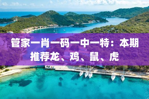 管家一肖一碼一中一特：本期推薦龍、雞、鼠、虎