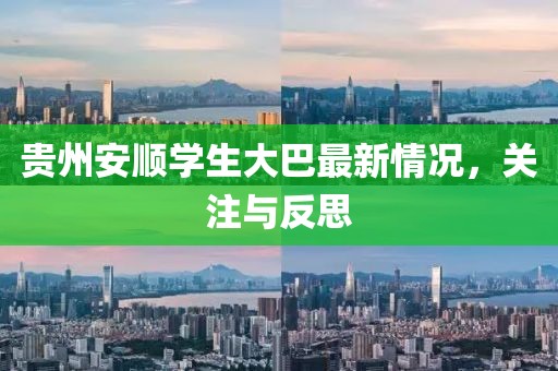 貴州安順學(xué)生大巴最新情況，關(guān)注與反思