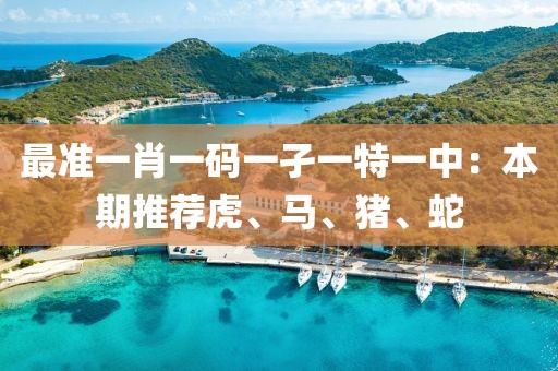 最準(zhǔn)一肖一碼一孑一特一中：本期推薦虎、馬、豬、蛇