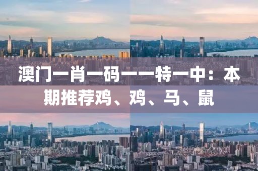 澳門一肖一碼一一特一中：本期推薦雞、雞、馬、鼠