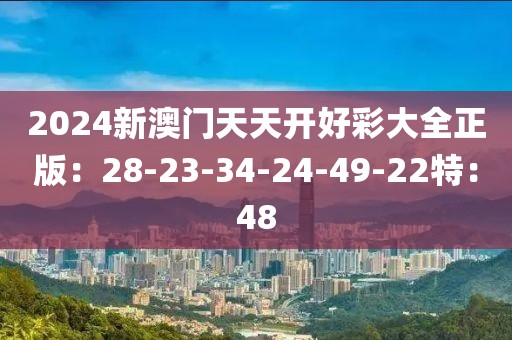 2024新澳門天天開好彩大全正版：28-23-34-24-49-22特：48