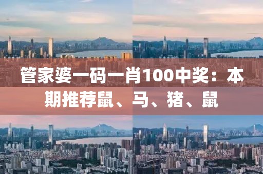 管家婆一碼一肖100中獎：本期推薦鼠、馬、豬、鼠
