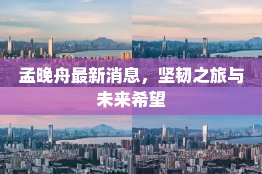 孟晚舟最新消息，堅(jiān)韌之旅與未來(lái)希望