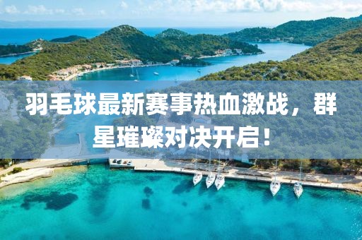 羽毛球最新賽事熱血激戰(zhàn)，群星璀璨對決開啟！