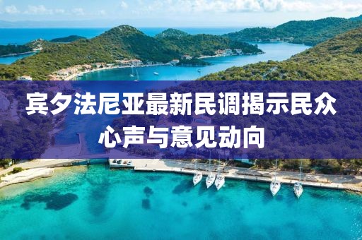 賓夕法尼亞最新民調(diào)揭示民眾心聲與意見動(dòng)向