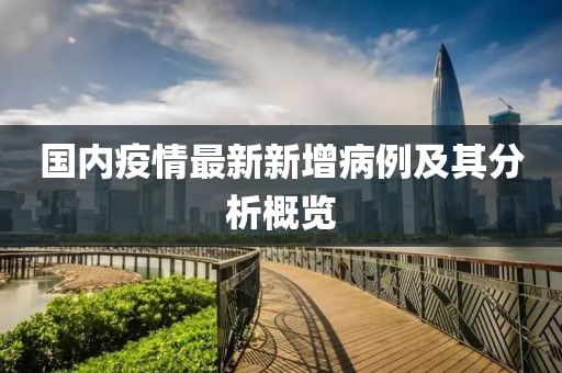 國內(nèi)疫情最新新增病例及其分析概覽