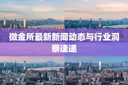 微金所最新新聞動態(tài)與行業(yè)洞察速遞