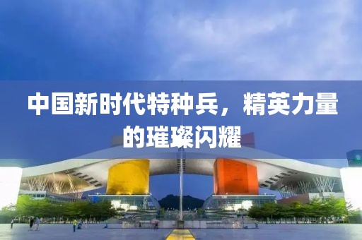 中國新時代特種兵，精英力量的璀璨閃耀