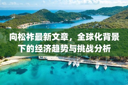 向松祚最新文章，全球化背景下的經(jīng)濟趨勢與挑戰(zhàn)分析