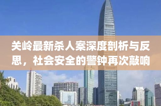 關(guān)嶺最新殺人案深度剖析與反思，社會(huì)安全的警鐘再次敲響