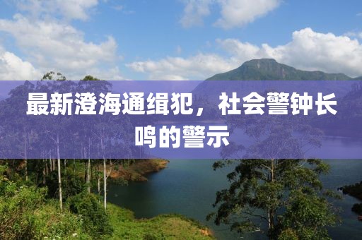 最新澄海通緝犯，社會(huì)警鐘長(zhǎng)鳴的警示
