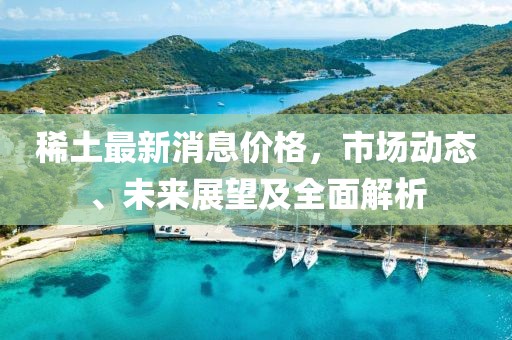 稀土最新消息價(jià)格，市場動態(tài)、未來展望及全面解析