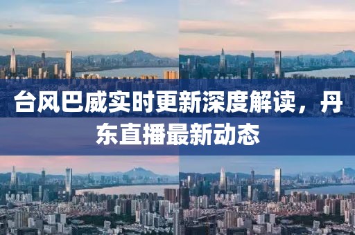 臺風(fēng)巴威實(shí)時(shí)更新深度解讀，丹東直播最新動(dòng)態(tài)