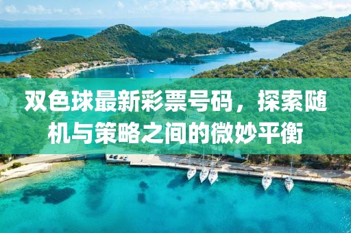 雙色球最新彩票號(hào)碼，探索隨機(jī)與策略之間的微妙平衡