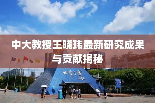中大教授王曉瑋最新研究成果與貢獻(xiàn)揭秘