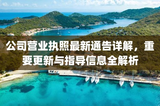 公司營業(yè)執(zhí)照最新通告詳解，重要更新與指導(dǎo)信息全解析
