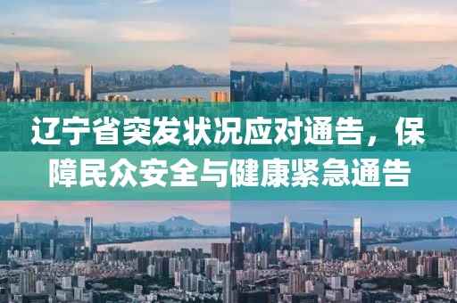 遼寧省突發(fā)狀況應對通告，保障民眾安全與健康緊急通告