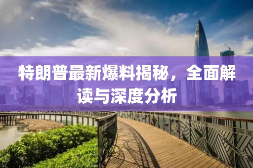 特朗普最新爆料揭秘，全面解讀與深度分析