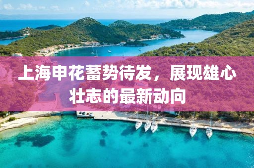 上海申花蓄勢待發(fā)，展現(xiàn)雄心壯志的最新動(dòng)向