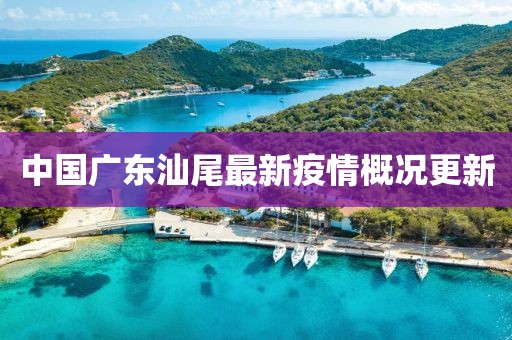 中國廣東汕尾最新疫情概況更新