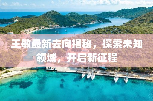 王敏最新去向揭秘，探索未知領(lǐng)域，開(kāi)啟新征程