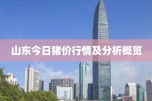 山東今日豬價(jià)行情及分析概覽