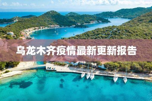 烏龍木齊疫情最新更新報告