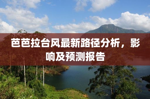 芭芭拉臺風最新路徑分析，影響及預測報告