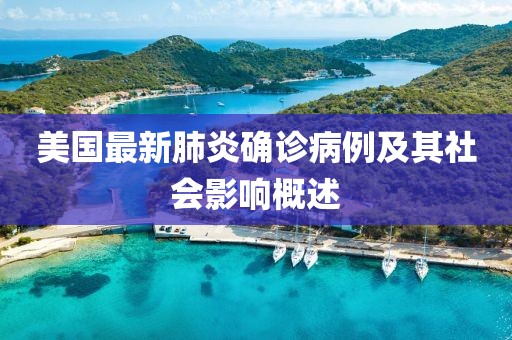 美國最新肺炎確診病例及其社會影響概述