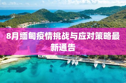 8月緬甸疫情挑戰(zhàn)與應(yīng)對(duì)策略最新通告