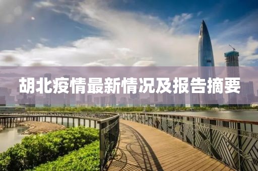 胡北疫情最新情況及報(bào)告摘要