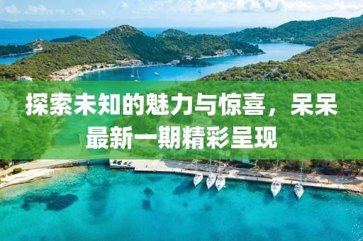 探索未知的魅力與驚喜，呆呆最新一期精彩呈現(xiàn)