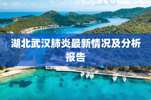湖北武漢肺炎最新情況及分析報告