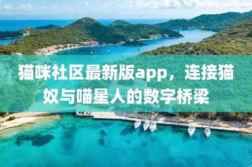 貓咪社區(qū)最新版app，連接貓奴與喵星人的數(shù)字橋梁