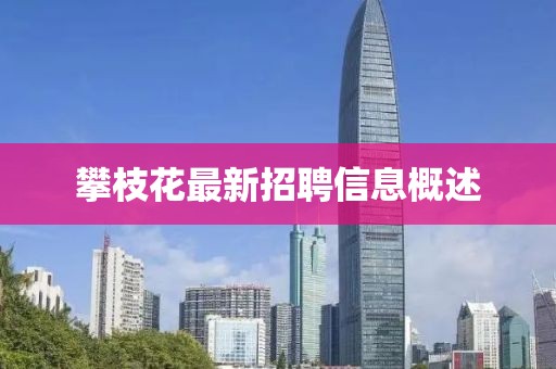 攀枝花最新招聘信息概述