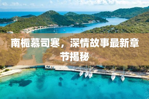 南梔慕司寒，深情故事最新章節(jié)揭秘