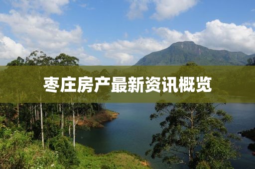 棗莊房產(chǎn)最新資訊概覽