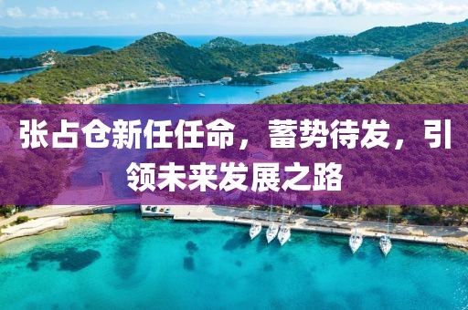 張占倉新任任命，蓄勢待發(fā)，引領未來發(fā)展之路