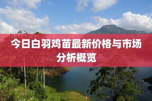 今日白羽雞苗最新價(jià)格與市場(chǎng)分析概覽