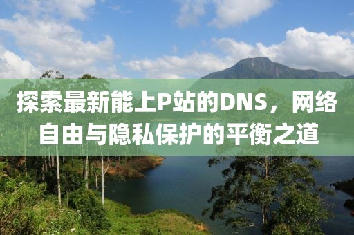 探索最新能上P站的DNS，網(wǎng)絡(luò)自由與隱私保護(hù)的平衡之道